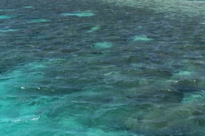 Stone Restaurant & Bar