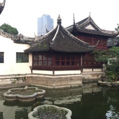 Nanxiang Steamed Bun Restaurant User Photo