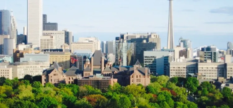 Rooftop Bar - Park Hyatt