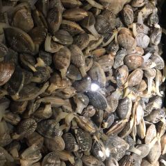 LUCHENGWANGSHI User Photo