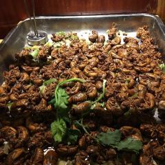 LUCHENGWANGSHI User Photo