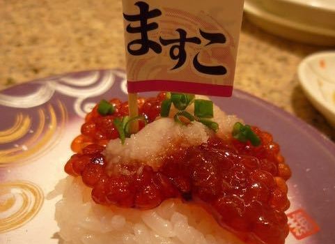 Sushi-Go-Round (Kaitensushi) Triton Ebetsu