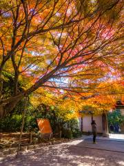 龍安寺