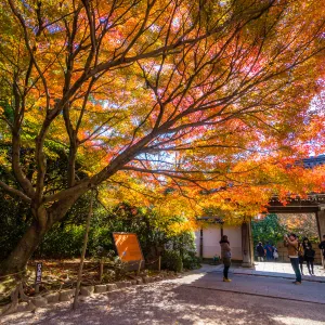 龍安寺