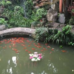 QIN SHAN ZHAI RESTAURANT User Photo