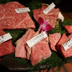 Matsusakagyu Yakiniku M HOZENJI YOKOCHO User Photo