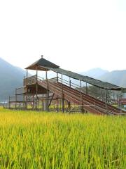 Zhenong Ecology Farm
