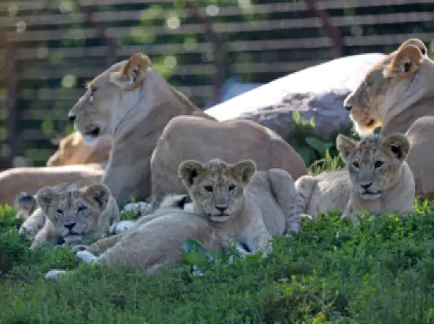 オーデンセ動物園
