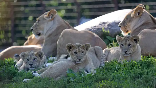 Hotels near Odense ZOO