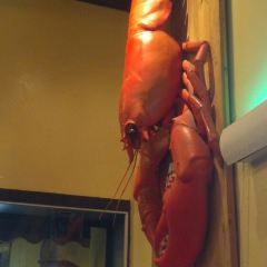 Boston Lobster Feast User Photo