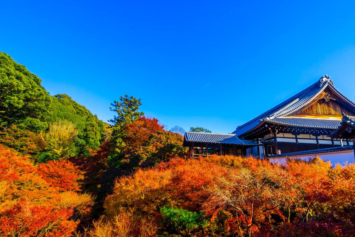 東福寺