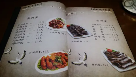 老朴韩食冷面馆(白丁香路店) in Yanbian