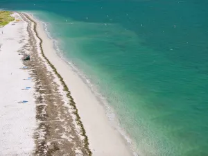 빌 백스 케이프 플로리다 주립공원