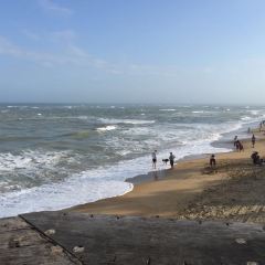 SEA STORY User Photo