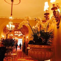 The Palm Court User Photo