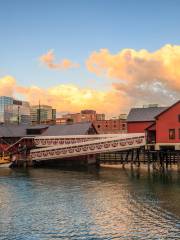 ボストン茶会事件の船と博物館