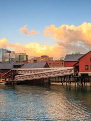 Boston Tea Party Ships & Museum