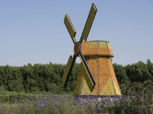 Dubai Miracle Garden