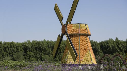 Dubai Miracle Garden