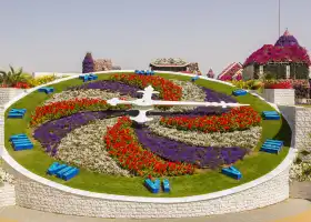 Dubai Miracle Garden