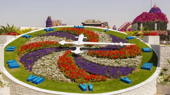 Dubai Miracle Garden