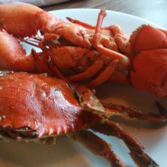 Boston Lobster Feast User Photo