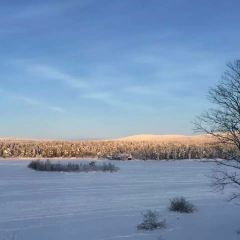 Hotel Inari User Photo