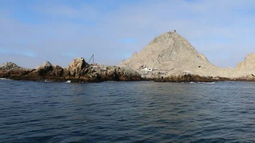 サンフランシスコ ファラロン諸島 評判 案内 トリップドットコム サンフランシスコ ファラロン諸島 評判 案内 トリップドットコム