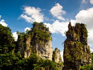 油杉河