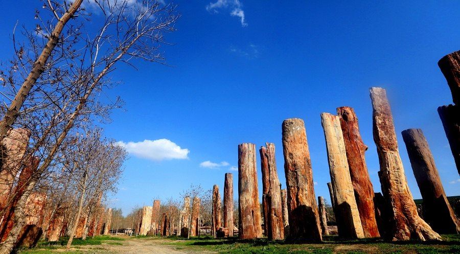 Xinjiang Medical University