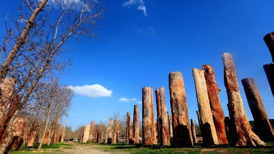 新疆古生態園