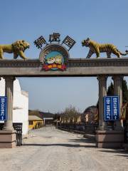 Lions and Tigers Park