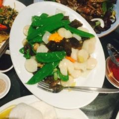 Shark Fin House(Chinatown) User Photo
