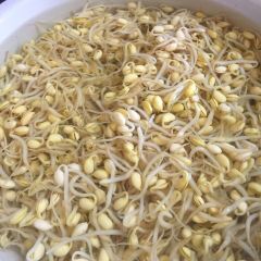 瑞仁羊架馆 User Photo