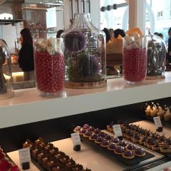 CONSERVATORY User Photo