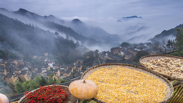 Crop Sun-Drying in She County