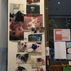 Ganbaranba User Photo