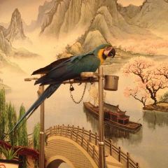 那家小馆(798艺术区店) User Photo