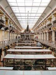 พิพิธภัณฑ์แห่งชาติไอร์แลนด์ - ประวัติศาสตร์ธรรมชาติ