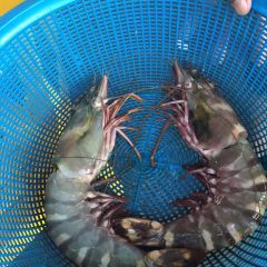 Yong Leong Seafood Restaurant User Photo