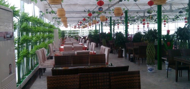 尼勒克县阳光岛生态餐厅
