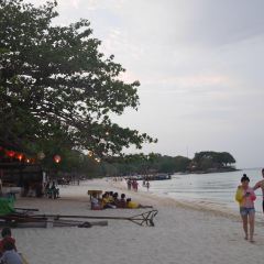 Jasmin Restaurant User Photo