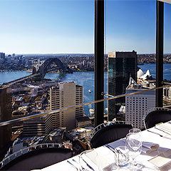 O Bar and Dining User Photo