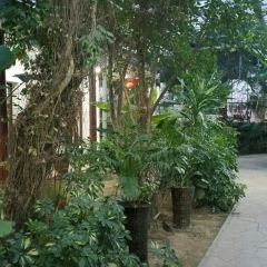 大禾庄园 User Photo