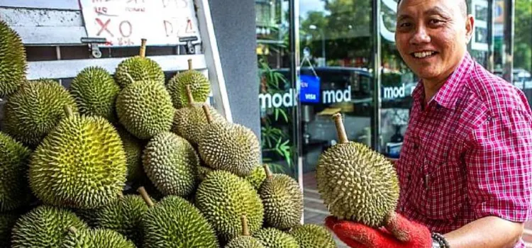 227 Katong Durian