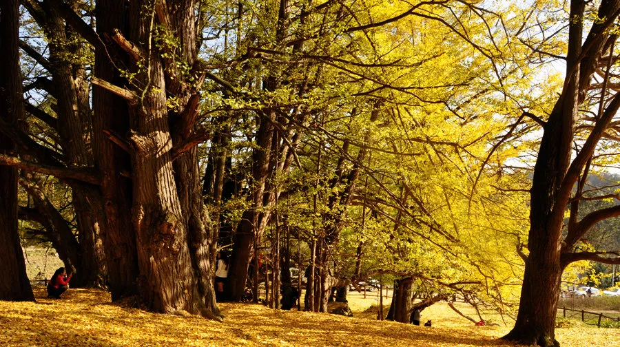 2_วิวแม่น้ําหยูซาน