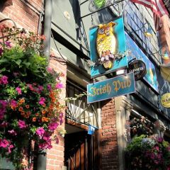 Owl N' Thistle User Photo