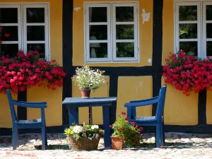 The Funen Village