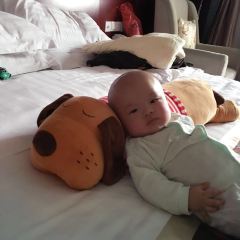 明都豪格國際酒店餐廳張用戶圖片