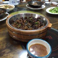 梅花牛庄 User Photo